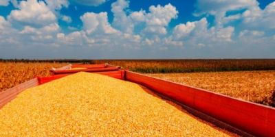 Safra de grãos no RS deve ser 45,3% maior, aponta levantamento da Conab