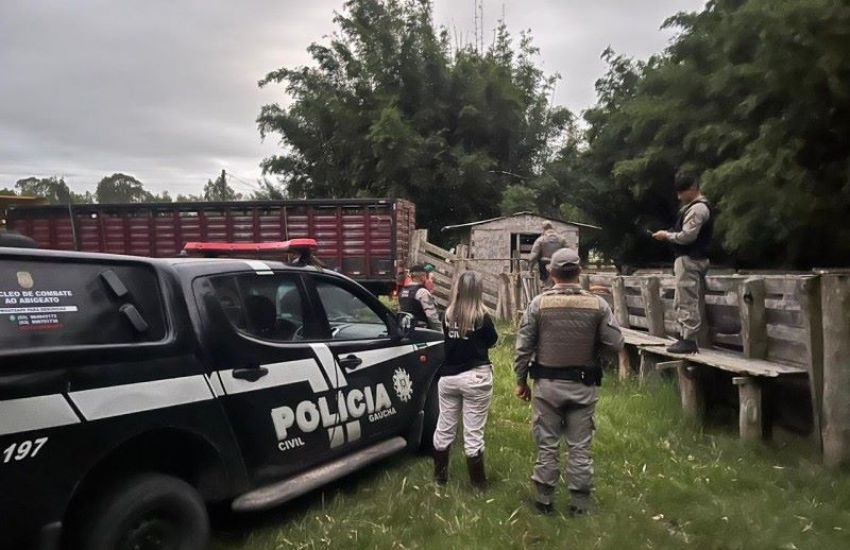 Polícia Civil recupera 29 animais bovinos em Rio Grande 