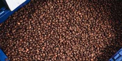 Conab estima produção de café em 58,81 milhões de sacas na safra 2024