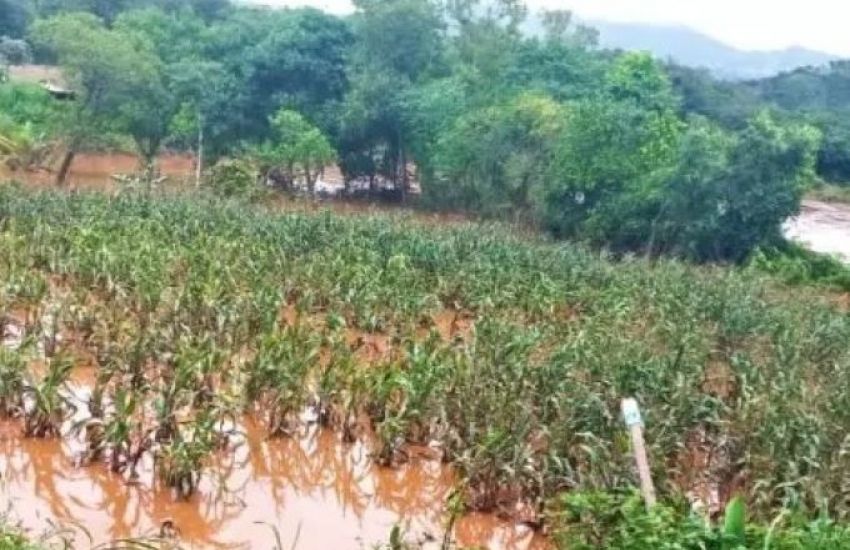 Mais de 206 mil propriedades rurais foram afetadas pelas enchentes no RS, aponta relatório    