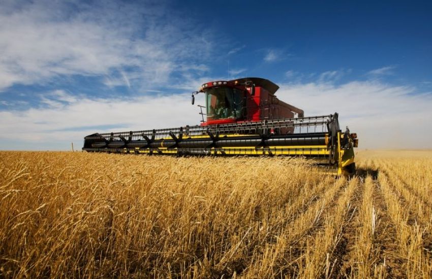 Brasil colherá 297,5 milhões de toneladas de grãos, estima Conab 