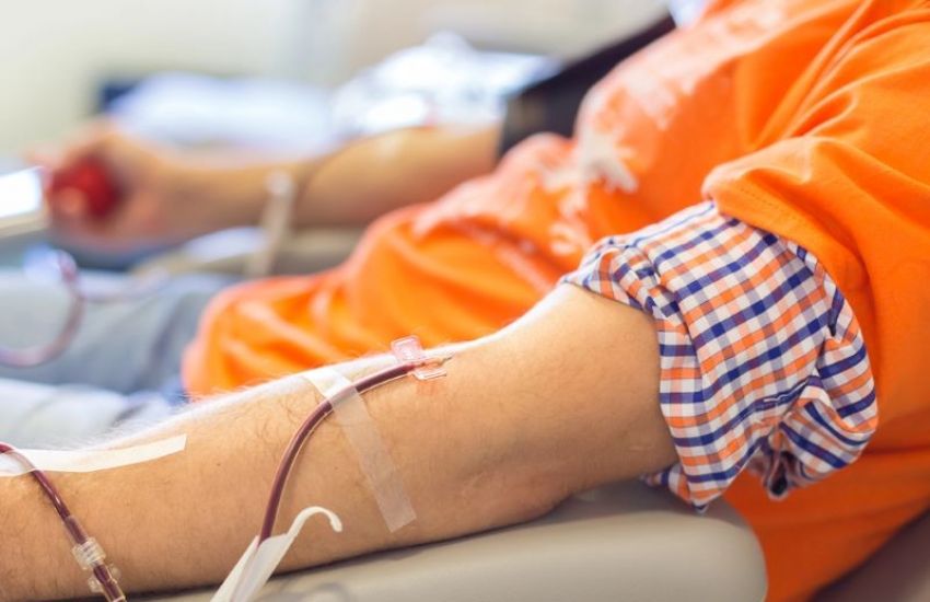 Dia Mundial do Doador de Sangue: saiba mais sobre a doação regular 