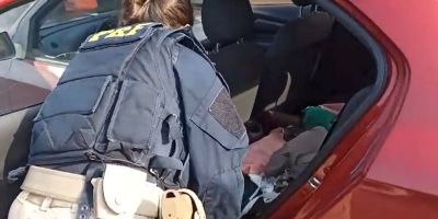 VÍDEO: motorista é preso transportando galos de rinha na BR-116 em São Lourenço do Sul