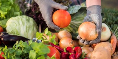 Feira do Produtor Rural começa nesta sexta (22) em Barra do Ribeiro