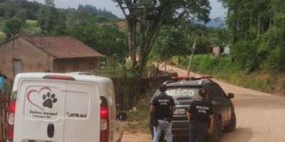 Cães em situação de maus tratos são resgatados no interior de Camaquã