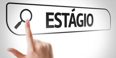 Empresas ampliam contratações de estagiários em 2025 com foco em tecnologia, saúde e administração