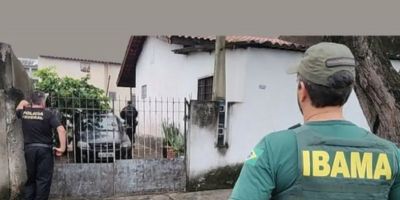 Operação da PF e Ibama apreende 33 animais em posse de traficantes no Brasil