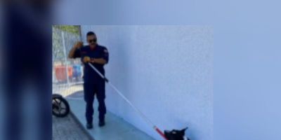 Criança fica ferida após ataque de pitbull no RS