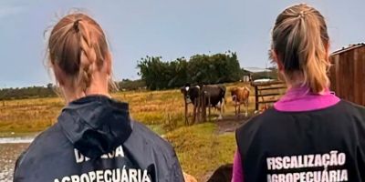 Zoológico de Brasília é fechado após suspeita de gripe aviária