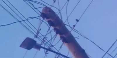 Família do bairro São Carlos está há mais de 20 dias sem energia elétrica em Camaquã