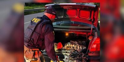 PRF prende mulher com mais de 70 kg de drogas no Litoral Norte do RS